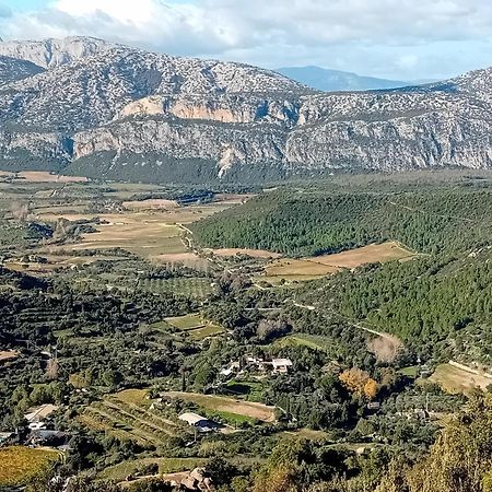 B&B Su Acu Dorgali Exterior photo